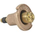 18sq Arrowhead Brass Sprnklr 013789120036
