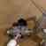 2088g2s22a1 Rosemount Transducer T-1000 Bellofram 961-070-000