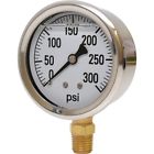 Gauge-0-300 53702 Valley Instrument Stainless Steel Glycerin Psi 634332633959