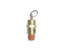 St25-1a060 5a707 Control Devices Npt Inlet Psi Brass Air Safety Valve