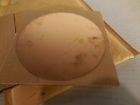 66773 Spirax Sarco Diaphragm Pa4