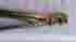 69335 Te Connectivity Amp Heavy Head Hand Tool Green