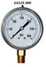 Ls125-3000 Liberty Pneumatic New Hydraulic Liquid Filled Pressure Gauge Psi