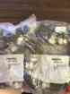 Mfh-5-1 Stock Parts Pieces Qsl-10 Festo Lot 8-sa 115