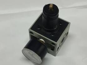 R22k-d2l Numatics Check Regulator With Gauge