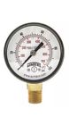 Pem202lf Winters Economy Series Npt Psi