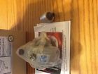 Sm2amc Rand Air Select Reversible Motor Ingersoll