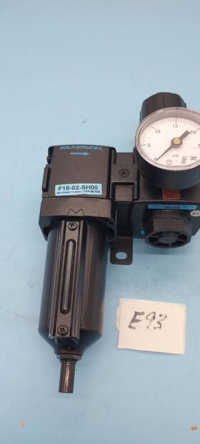 R19-02-ca00 Wilkerson F18-02-sh00 Ashcroft Gauge