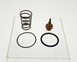 Bradley S45-049 Repair Kit For S27-016A Thermal Valve Spring O-ring Gasket Power. Fixed Price $23.49.