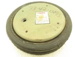 Enidine Goodyear YI-2314-352 Extend Air Spring Bag Double Convoluted 11.5" Plate. Fixed Price $174.99.