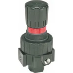 Parker 06R113AC Air Pressure Regulator, Pipe Size 1/4". Fixed Price $80.19.