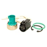 For Gmc K1500 88-99 Four Seasons System Mounted Low Cut-out Pressure Switch. Fixed Price $34.88.