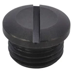 Speedaire TTR4420406G Valve Cap, 45R366. Fixed Price $7.03.