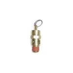 Control Devices ST2512-1A075 Air Safety VALVE,1/8" Inlet, Psi 5LGJ5. Fixed Price $9.57.