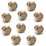10PCS Brass Sintered Bronze Breather Vent Flat Pneumatic Muffler Filter 1/8" Npt. Fixed Price $11.65.