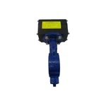 Keystone 221 F89U-004 250PSI 2" Nsnp. Fixed Price $550.00.