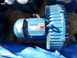 Nash Elmo Vacuum Blower 200 2BH1690-7AH26-Z Gardner Denver (OR40). Fixed Price $300.00.