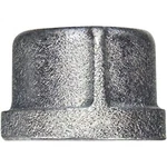 Anvil Cap Galvanized 1 ". Fixed Price $19.20.