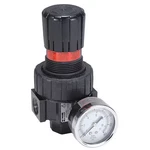 Parker 06R218AC Air Regulator, 3/8 In. Npt, 60 Cfm, 250 Psi. Fixed Price $137.99.