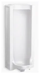 Kohler 25039-R-0 Branham Rear Spud Urinal Box Damage. Fixed Price $533.70.