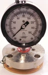 Ametek Usg Pressure Gauge W/ Diaphragm 0-160 Psi. Fixed Price $162.00.