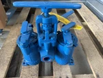 Hayward No. 51 Duplex Basket Strainer 3/4" Npt 200-PSI Cast Steel Body. Fixed Price $1250.00.