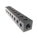 Pneumadyne Inc M20-250-8-90 MANIFOLD,BLK,ALUM,8OUTLETS,7.38"L 2KHD2. Fixed Price $43.58.