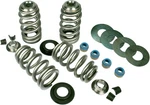 Feuling Oil Pump Corp. - 1100 Endurance Beehive? Valve Springs With Titanium. Fixed Price $341.96.