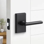Sure-loc Ridgecrest Mountain Door Handles Black Modern Rectangle Logan Lever. Fixed Price $79.99.
