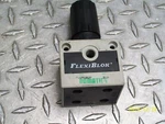 Numatics R22RG02P Flexiblok Relieving Pressure Regulator. Fixed Price $18.50.