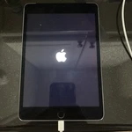 Apple Ipad Mini 4 A1550 Space Grey Broken. Fixed Price $21.99.