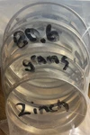 Silver Solder Joint Brazing Rings 15% 2 Inch O.d. CUP-5 (10 Pack). Fixed Price $59.95.