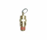 Control Devices St Series Brass Asme Safety Valve, 75 Psi Set Pressure, 1/8" Npt. Fixed Price $7.99.