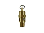 Kingston 1/4 Npt Brass Soft Seat Pressure Relief Valve 45 Psi 46 Scfm. Fixed Price $18.34.