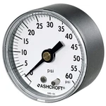 Ashcroft 20W1005PH02B600# GAUGE,PRESSURE,0 To PSI,BACK,2 In. 33HR05. Fixed Price $32.90.