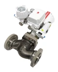 New Flowserve 7310-18107FV Control Valve NT3000 2" NT3002102SN1W00 731018107FV. Fixed Price $2500.00.
